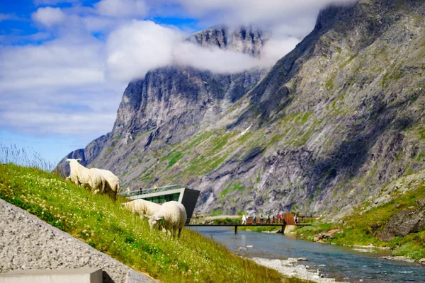 Trollstigen район — стокове фото