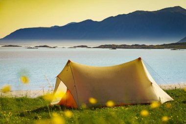 Yazın deniz kıyısında çadır. Okyanus kıyısında kamp yapmak. Lofoten takımadaları Norveç. Tatil ve seyahat.