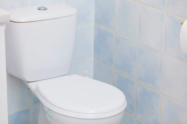 Bathroom Home Toilet Bowl Flush — Stock Photo, Image