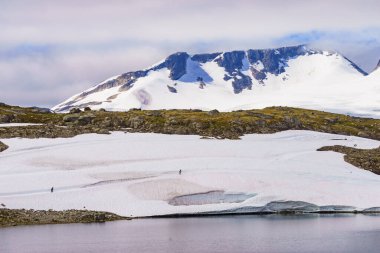 Sport activity. Cross country summer ski at road 55 Sognefjellet national tourist route between Lom and Luster, Norway. People training on track. clipart