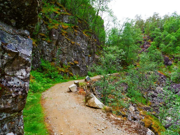 Allmannajuvet Área Sauda Noruega Ruta Turística Nacional Noruega Ryfylke —  Fotos de Stock