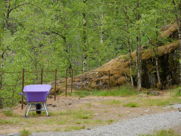 Violett Skottkärra Utomhus Norsk Natur — Stockfoto