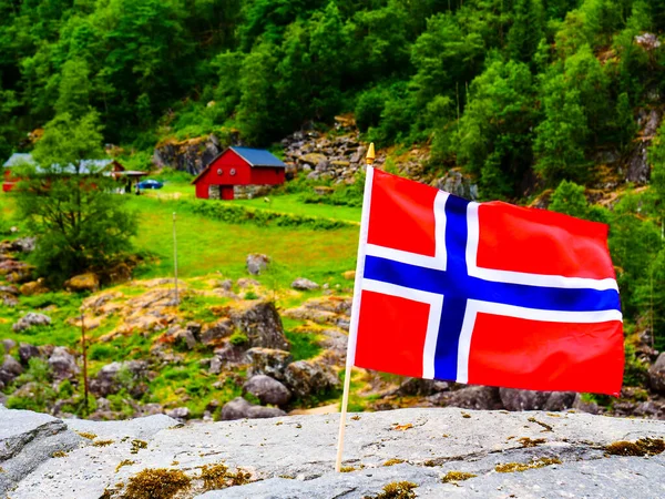 Norwegian Flag Waving Outdoor Green Nature — Stock Photo, Image