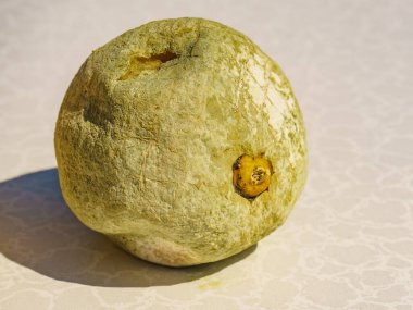 Yeşil küflü limon turunçgilleri. Çürük mantar yemekleri..