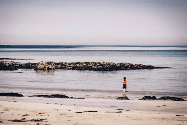 Turistkvinna Avkopplande Promenader Stranden Kusten Gimsoja Gimsoja Och Sandstrand Sommaren — Stockfoto