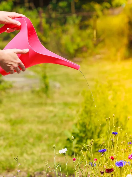 Berkebun Perempuan Yang Bekerja Kebun Halaman Belakang Rumahnya Perempuan Yang — Stok Foto