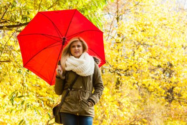 Rahatlatıcı bir konsept. Parkta kırmızı şemsiyeyle yürüyen bir kadın, sonbahar güneşli havası.
