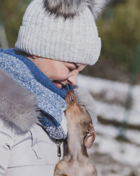 Mujer Joven Divirtiéndose Afuera Nieve Hembra Jugando Con Pequeño Cachorro —  Fotos de Stock