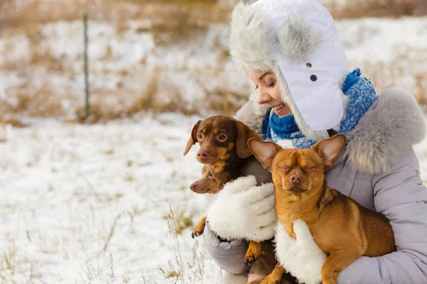 Mujer Joven Divirtiéndose Afuera Nieve Hembra Jugando Con Sus Cachorros —  Fotos de Stock