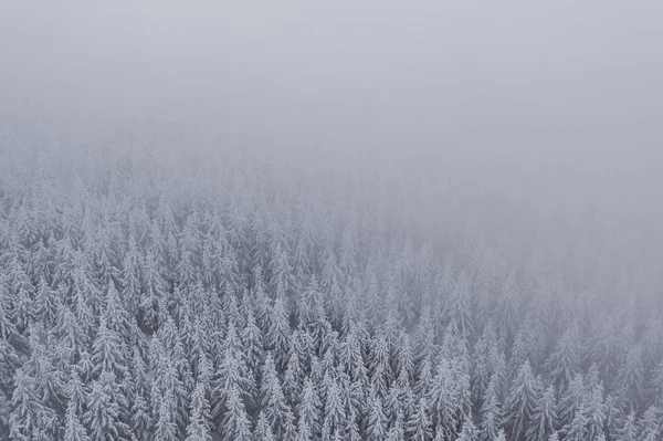 Jizera Dağları Zera Dağları Çek Cumhuriyeti Ile Polonya Arasındaki Sınırdaki — Stok fotoğraf