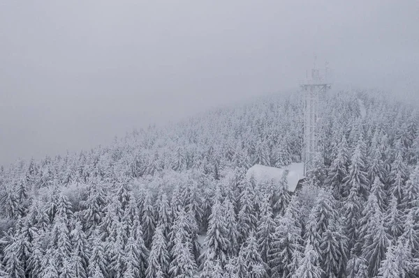 Jizera Mountainsor Izera Mountains are part of the Western Sudetes on the border between the Czech Republic and Poland. The range got its name from the Jizera River.