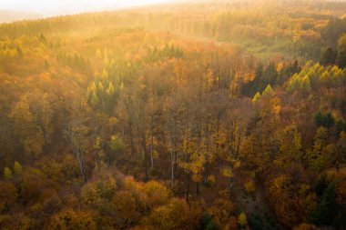 Voderady Beechwood ulusal bir doğa rezervidir. Rezerv nispeten asidik topraklarda doğal kayın ormanları vardır, korunması gereken orman habitat türü.