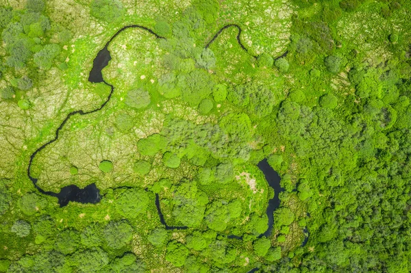 Região Trebonsko Destaca Pela Sua Extraordinária Variedade Habitats Biótopos Mais — Fotografia de Stock