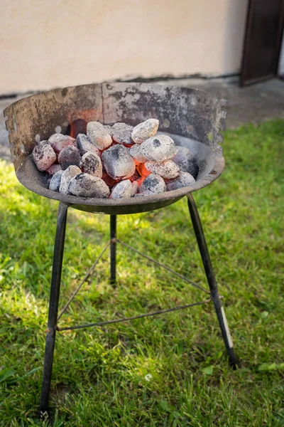 Grill garden party with sausages and meat on hot briquette