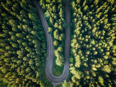 Orlicke Dağları veya Kartal Dağları, Çek Cumhuriyeti'nin kuzeydoğusunda ki Bohemya'da bulunan bir dağ sırasıdır. Dağlar çoğunlukla kristal kayalardan oluşur..
