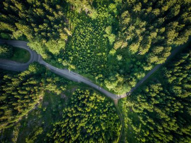 Orlicke Dağları veya Kartal Dağları, Çek Cumhuriyeti'nin kuzeydoğusunda ki Bohemya'da bulunan bir dağ sırasıdır. Dağlar çoğunlukla kristal kayalardan oluşur..