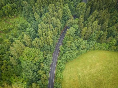 Orlicke Dağları veya Kartal Dağları, Çek Cumhuriyeti'nin kuzeydoğusunda ki Bohemya'da bulunan bir dağ sırasıdır. Dağlar çoğunlukla kristal kayalardan oluşur..