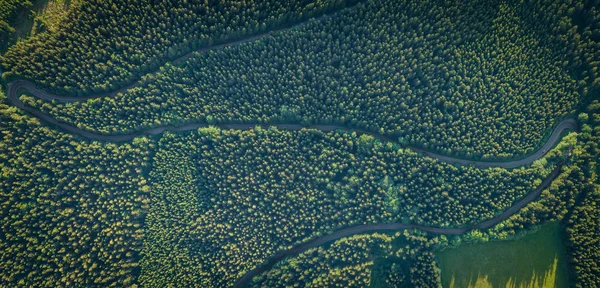 Orlicke Mountains Eagle Mountains Een Bergketen Gelegen Het Noordoosten Van — Stockfoto