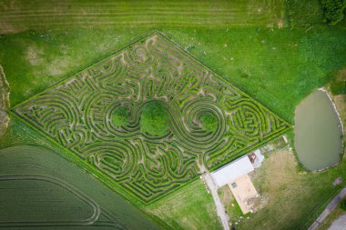 Trebonsko bölgesi olağanüstü yaşam alanlarıyla dikkat çekmektedir. Trebon bölgesinin en değerli biyotopları arasında geçiş dönemi turba bataklıkları, ormanlar ve birçok gölet ve göl bulunmaktadır..