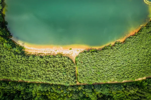 Region Trebonsko Wyróżnia Się Niezwykłą Różnorodnością Siedlisk Najcenniejszych Biotopów Regionu — Zdjęcie stockowe