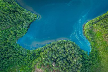 hayvanlar, asfalt, plaj, güzel, kuşlar, bataklık, araba, bulut, bulutlar, kırsal,, tepeli, çek, çek cumhuriyeti, baraj, çöl, sürücü, drone, drone, boş, avrupa, gezi, fauna, flora, orman, yeşil, habitatlar, otoyol, ufuk, yolculuk, göl