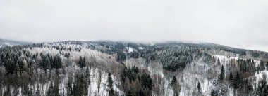Liberec Bölgesi, Çek Cumhuriyeti'nin tarihi Bohemya bölgesinin en kuzey kesiminde yer alan idari bir birimidir. Adını başkenti Liberec'ten almıştır..