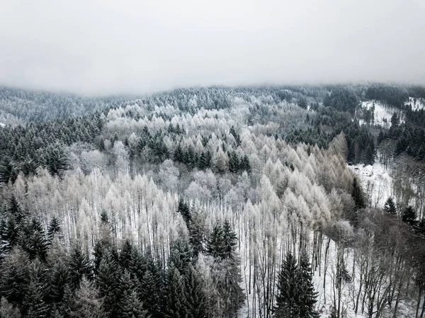 Liberec Bölgesi Çek Cumhuriyeti Nin Tarihi Bohemya Bölgesinin Kuzey Kesiminde — Stok fotoğraf