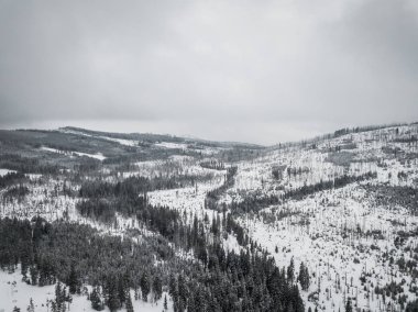 Sumava Milli Parkı veya Bohemian Forest Milli Parkı, Çek Cumhuriyeti'nin Güney Bohemya bölgelerinde, Almanya ve Avusturya sınırı boyunca yer alan bir milli parktır. Np Unesco tarafından protcted olduğunu.