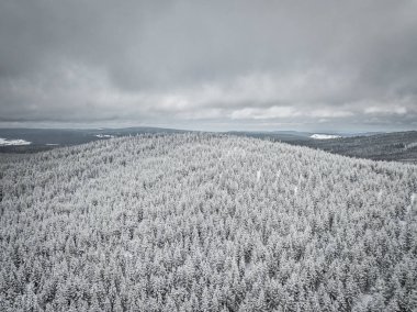 Sumava Milli Parkı veya Bohemian Forest Milli Parkı, Çek Cumhuriyeti'nin Güney Bohemya bölgelerinde, Almanya ve Avusturya sınırı boyunca yer alan bir milli parktır. Np Unesco tarafından protcted olduğunu.