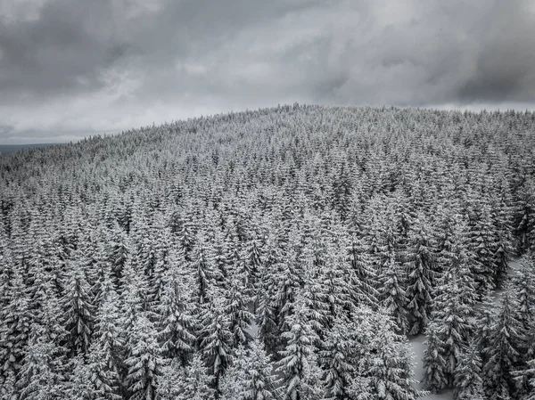 Sumava Milli Parkı Veya Bohemian Forest Milli Parkı Çek Cumhuriyeti — Stok fotoğraf