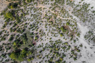The quarry was opened in 1918 and over the course of the 20th century it gradually expanded its area by merging with the surrounding smaller quarries. Bathing is prohibited in the flooded area.