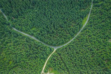 Bedrichov, Çek Cumhuriyeti'nin Liberec bölgesinde yer alan bir köydür. Jablonec nad Nisou'nun yaklaşık 8 km kuzey-kuzeybatısında yer alır ve 286 kişilik bir nüfusa sahiptir. Bedrichov'da bir kayak alanı var.