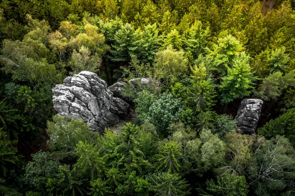 Lusatian Mountains Protected Landscape Area Uma Área Protegida 267 Km2 — Fotografia de Stock