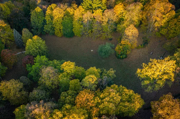 Sumava Nemzeti Park Egyike Négy Nemzeti Parknak Csehországban Két Déli — Stock Fotó