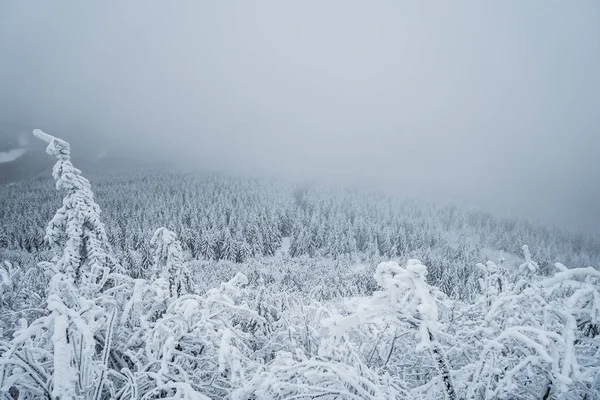 Liberec Bölgesi Çek Cumhuriyeti Nin Tarihi Bohemya Bölgesinin Kuzey Kesiminde — Stok fotoğraf