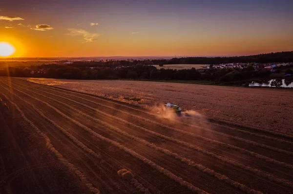 Die Ernte Der Tschechischen Republik Findet Sommer Statt Während Einer — Stockfoto