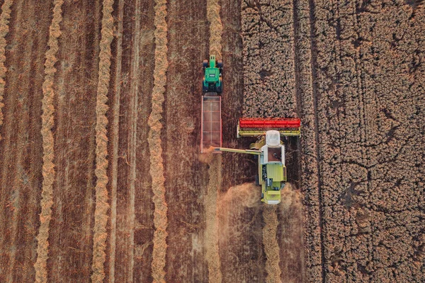 Oogst Tsjechië Vindt Plaats Zomer Een Periode Van Relatieve Droogte — Stockfoto