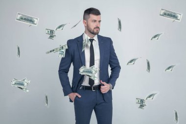 gri arka plan üzerinde izole düşen dolar banknotlar ile şık işadamı portresi. şık bir saç modeli ve sakallı bir takım elbise giymiş