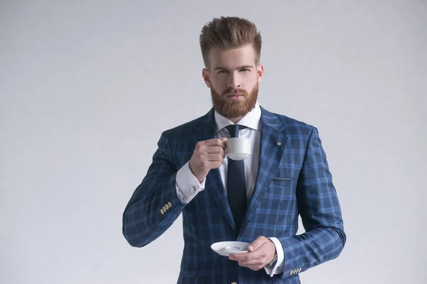 Retrato de elegante guapo complacido delicioso serio atractivo soñador rico elegante hombre elegante oliendo el aroma del café amargo fresco aislado en el espacio de copia de fondo gris — Foto de Stock