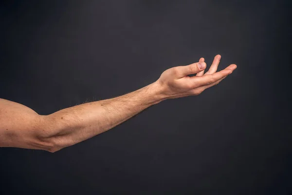 Mão Homem Isolada Sobre Fundo Cinzento Guardar Algo Baixo Pedir — Fotografia de Stock