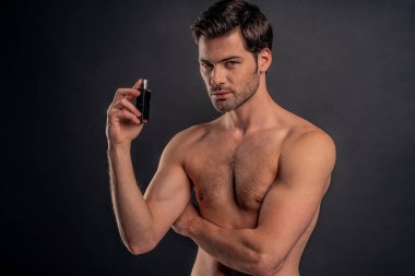 Yakışıklı, sakallı adam izole edilmiş. Üstsüz kaslı adamın portresi gri arka planda duruyor ve parfüm kullanıyor. Erkekler kavramı önemser