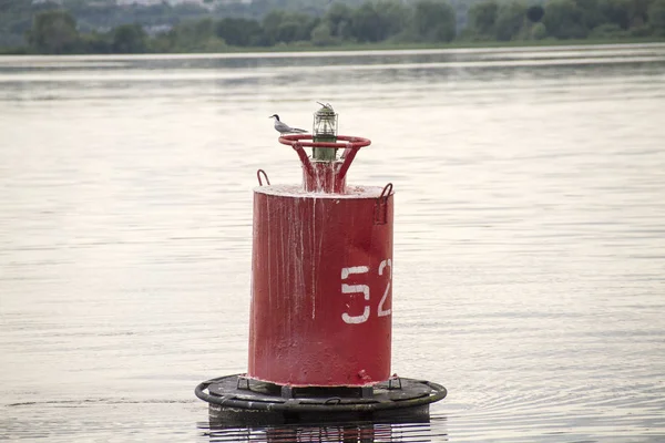 Martılar suyla şamandıra