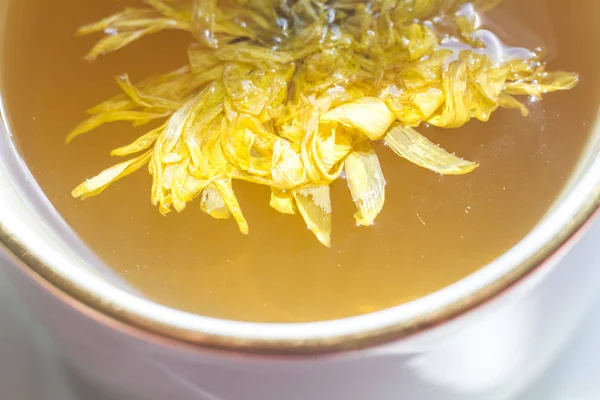 Chá Flor Verde Com Crisântemo Amarelo — Fotografia de Stock