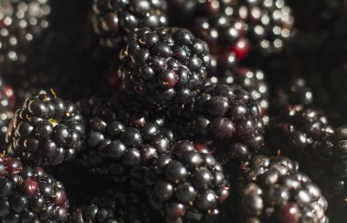 lezzetli olgun böğürtlen makro
