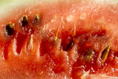 karpuz kırmızı makro