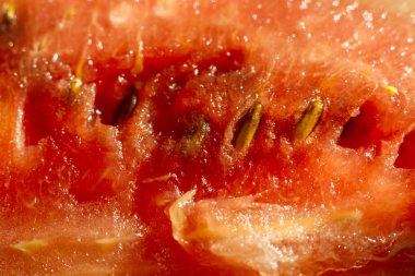 karpuz kırmızı makro