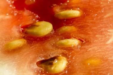 karpuz kırmızı makro