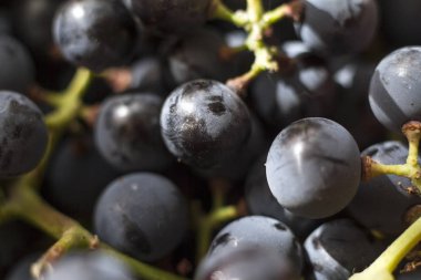 Olgun üzüm makronun demetleri