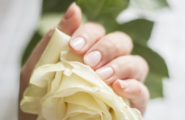 bir kadının elinde beyaz gül