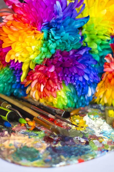 Разноцветные Хризантемы Палитре Красок Кисточками — стоковое фото